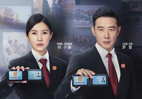 执行法官电视剧演员表,实力派齐聚演绎正义之战