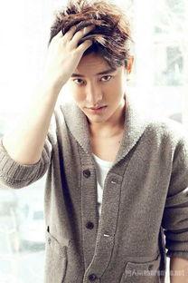 贾乃亮个人资料家庭