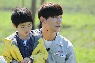 娱乐男神爸,揭秘明星爸爸的育儿经与生活点滴