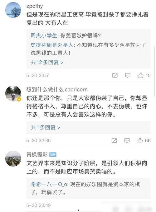 当代娱乐圈现状,流量时代下的新格局与挑战